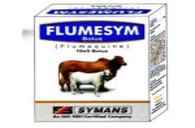 Flumesym Bolus 1