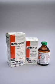 Gentasym 10% ΘêÑ∩┐╜Injection 100 ml