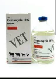 Gentasym 10% ΘêÑ∩┐╜Injection 50 ml