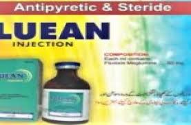 Leefan Injection 100 ml