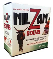 Nayzan Bolus