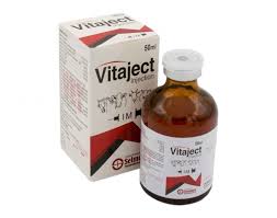 Vitaject injection