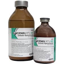 Excenel Injection ΘêÑ∩┐╜(100ml)rtu