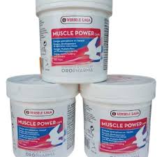 Muscle Power Caps - Performance & Recovery of Pigeons