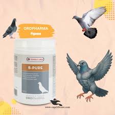 B Pure - Pigeon Vitamin Yeast Supplement