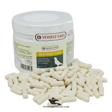 Recovery Caps for Pigeons – Fast Recovery & Health Support