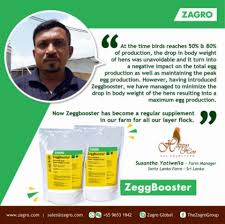 Zeggbooster
