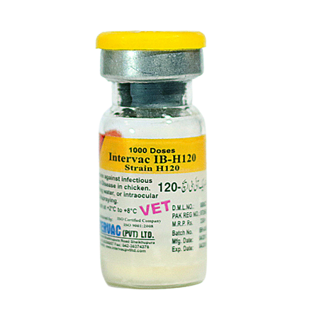 INTERVAC IB H120