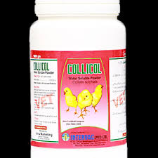 BIOCOL-TD Powder