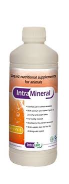 Intra Selenium + E 20% 
