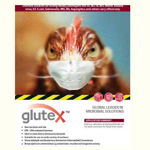 GLUTEXΓäó