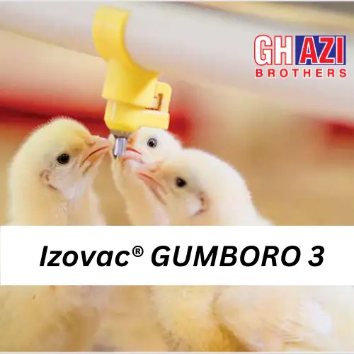 Izovac┬« GUMBORO 3