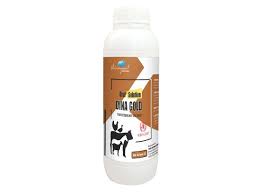 DINA GOLD (Multivitamins + DCF)