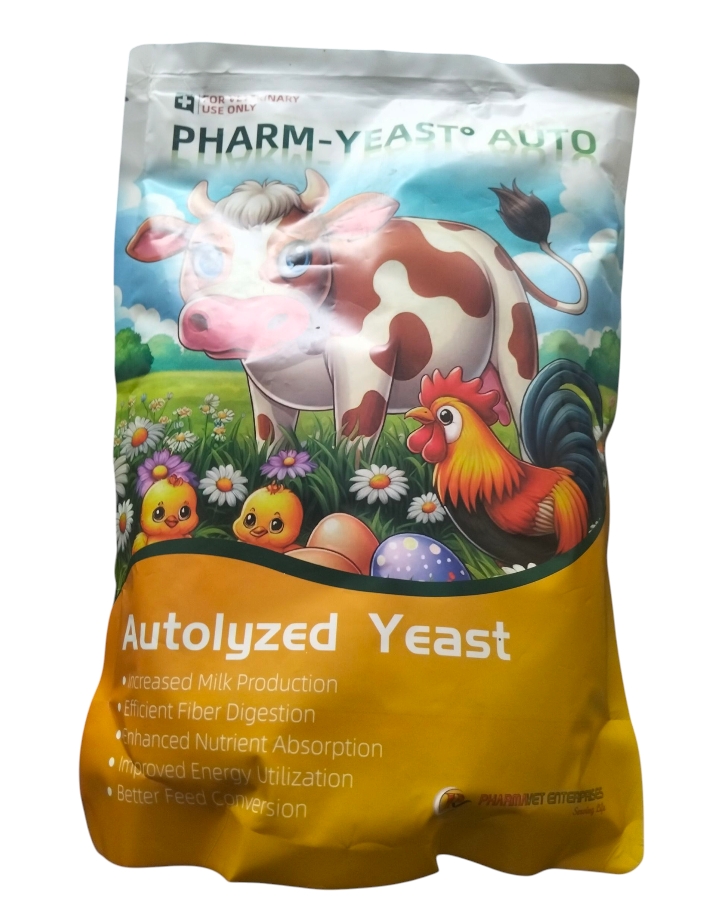 Autolized yeast