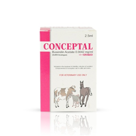 Conceptal injection