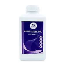 REEVIT ADΓéâEK sol