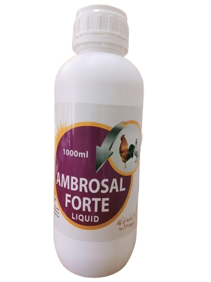AMBROSAL FORTE
