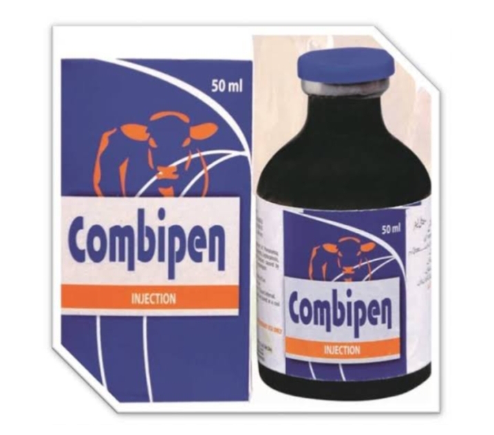 Combipen injection
