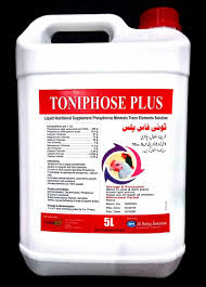 Toni Phose Plus 