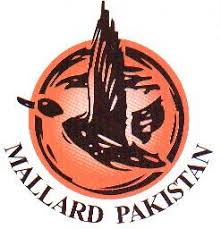 Bupra Mall