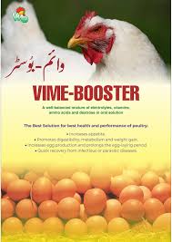 VIME-BOSTER