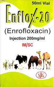 ENFLOX 20 50ML