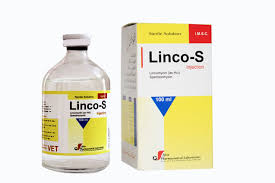 LINCO 8 100ML