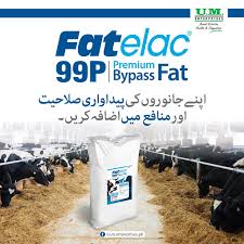 FATTYLAC 89% 25KG
