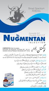 NUGMENTAN Injection 100ML