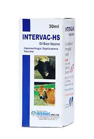 HS INTERVAC 30ML