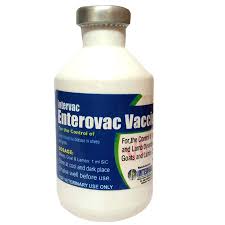 ETV 50ML