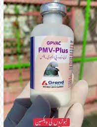 GpVac PMV Plus