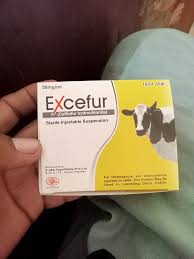 EXCEFUR 10ML