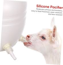 NIPPLE MILK