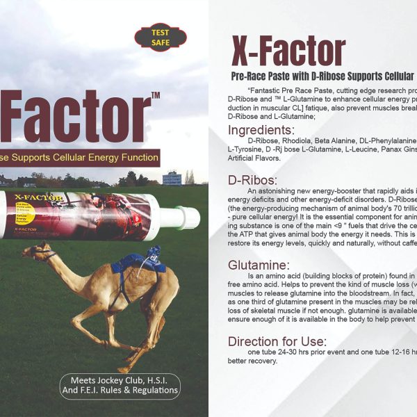 X-Factor Care&Cure pre-race paste with D-Ribose for cellular energy in racing horses and camels