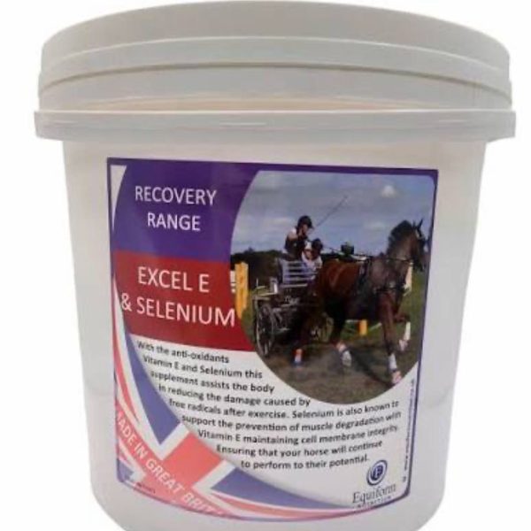 Excel E and Selenium