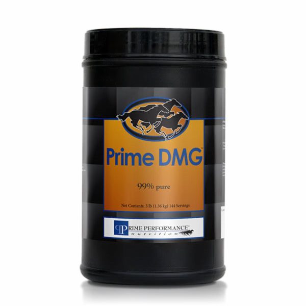 Prime DMG