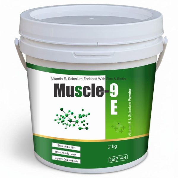 Muscle 9E