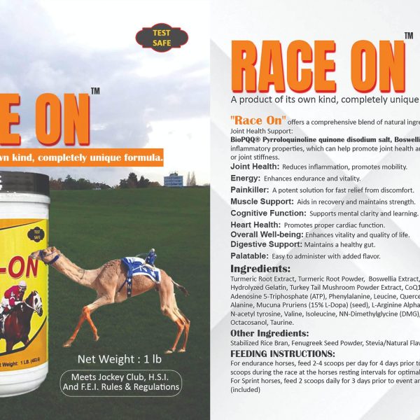 Race on