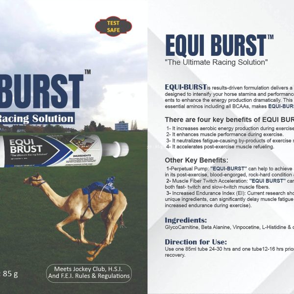Equi Burst Care&Cure racing and endurance paste for horses and camels — energy and stamina support