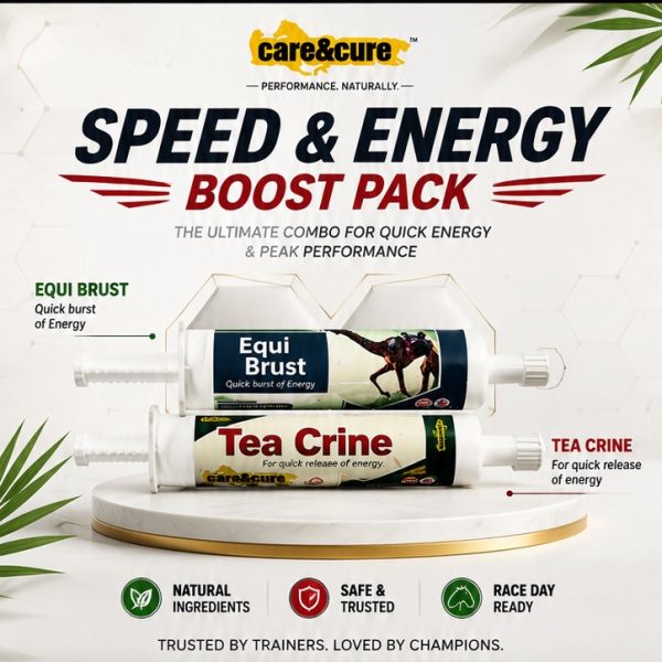 Speed & Energy Boost Pack