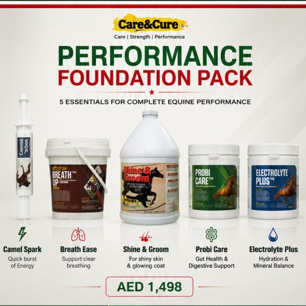Performance Foundation Pack